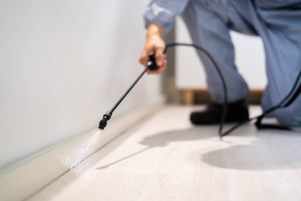 Professional exterminator conducting IPM assessment in Allendale