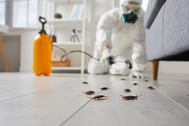 Post-Treatment Bed Bug Interceptor Monitoring in Allendale