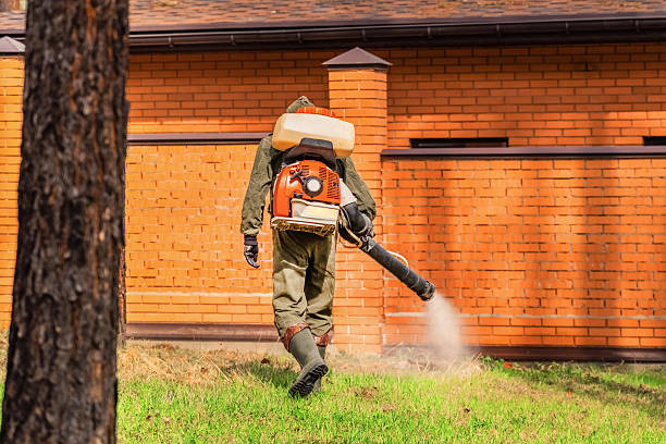 Bed Bug Clearance Verification and Documentation in Allendale